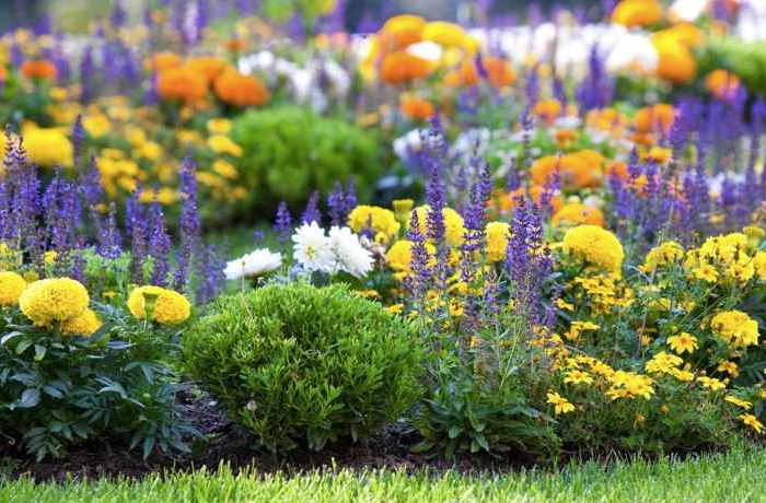 Landscape drainage solutions